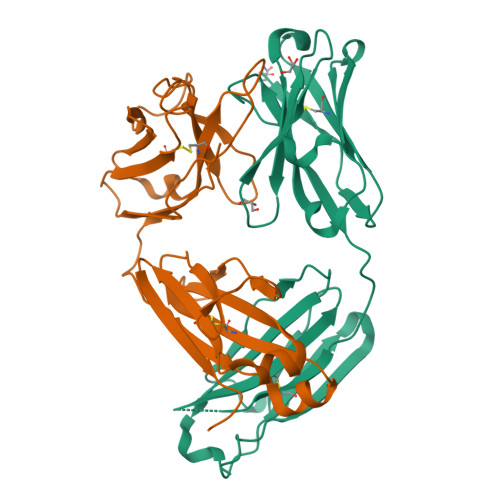 Bimagrumab · experimental Fab fragment: Fab fragment only; not the full bimagrumab IgG