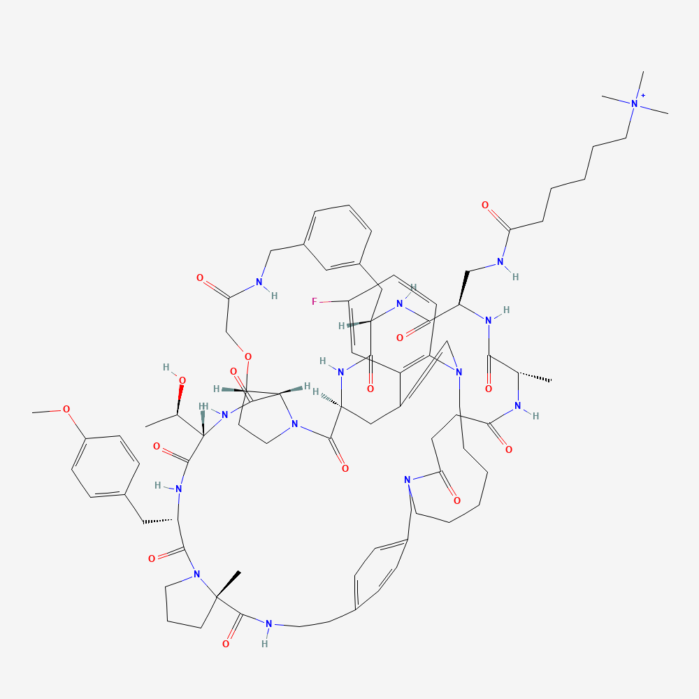 Enlicitide: Enlicitide cation; decanoate counterion omitted.