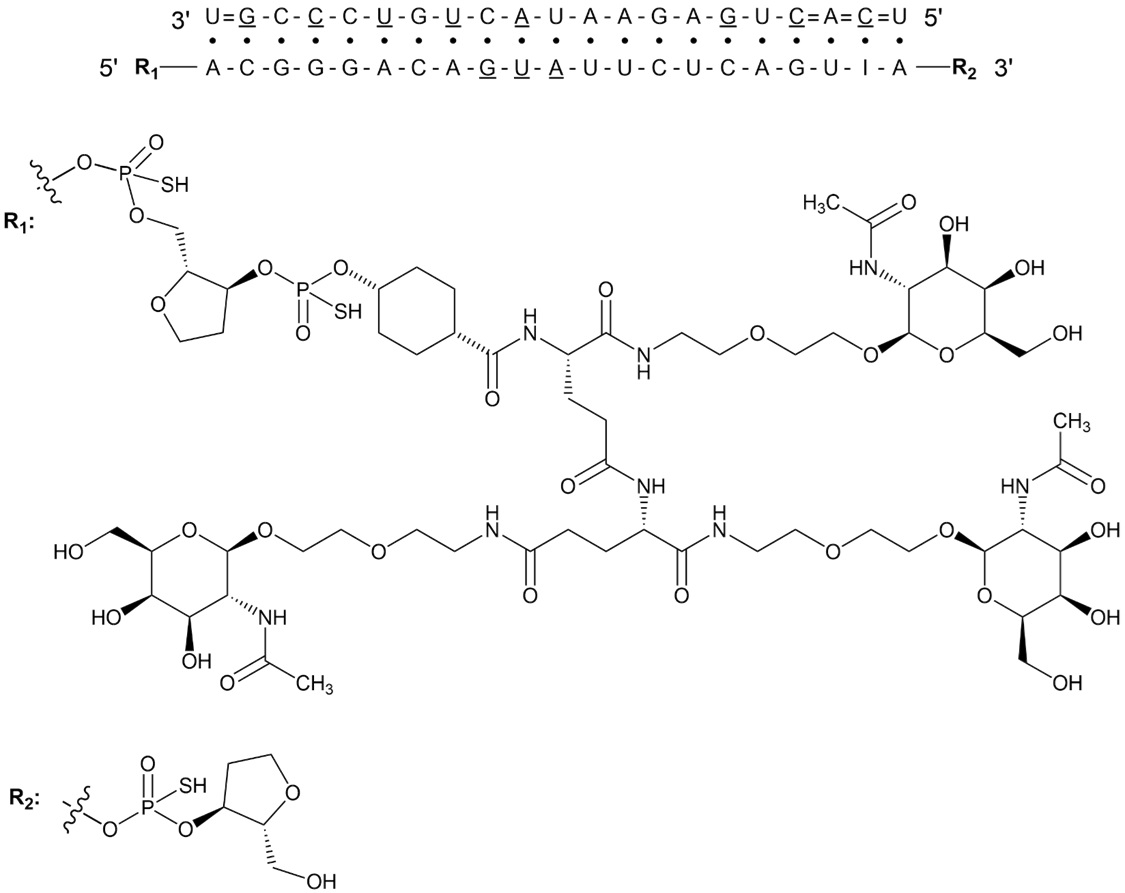 Plozasiran: Plozasiran; the label describes the administered sodium salt and provides the drug structural formula.