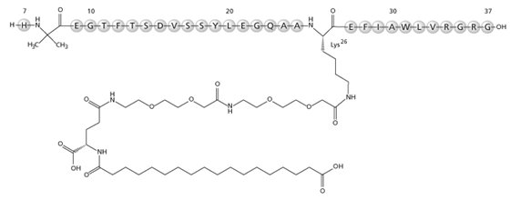 Semaglutide · official structural formula: Active peptide; formulation excipients excluded.